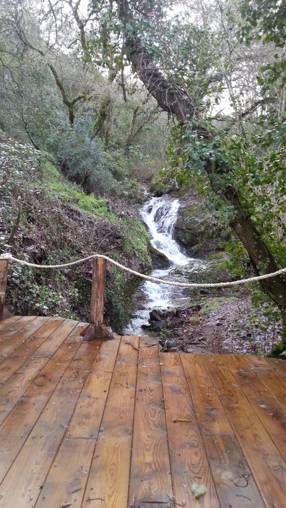 La cascada